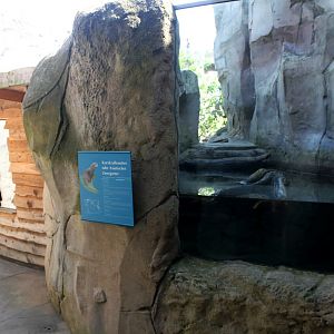 Zoo am Meer - Otter exhibit