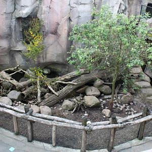 Zoo am Meer - Otter exhibit