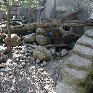 Zoo am Meer - Otter exhibit