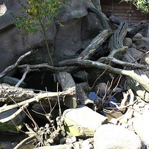 Zoo am Meer - Otter exhibit