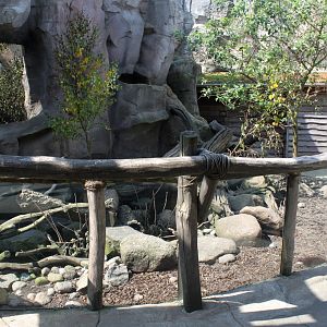 Zoo am Meer - Otter exhibit