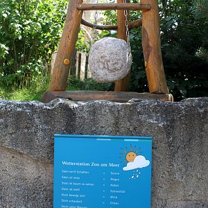 Zoo am Meer - Weather rock