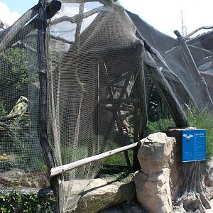 Zoo am Meer - Snowy owl aviary