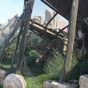 Zoo am Meer - Snowy owl aviary