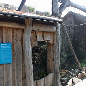 Zoo am Meer - Siberian red squirrel exhibit