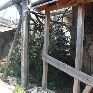 Zoo am Meer - Siberian red squirrel exhibit