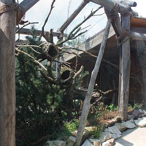 Zoo am Meer - Siberian red squirrel exhibit