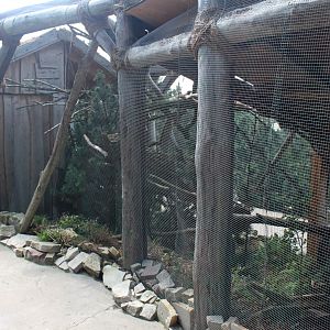 Zoo am Meer - Siberian red squirrel exhibit