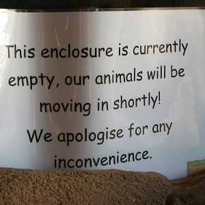 New Reptile area (not yet completed) 31st May 2013