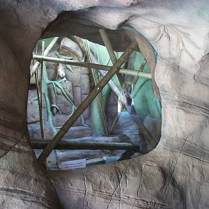 New Reptile area (not yet completed) 31st May 2013