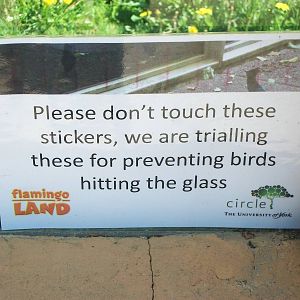 Notice on window of Tiger exhibit 31st May 2013