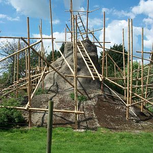 Revamped Lemur exhibit 31st May 2013