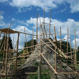 Revamped Lemur exhibit 31st May 2013