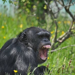 Don't Mess With Dylan!