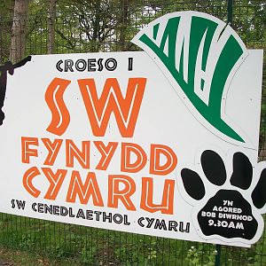 50th Anniversary 18th May 2013