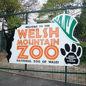 50th Anniversary 18th May 2013