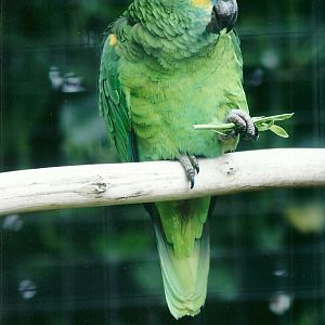 50th Anniversary 18th May 2013