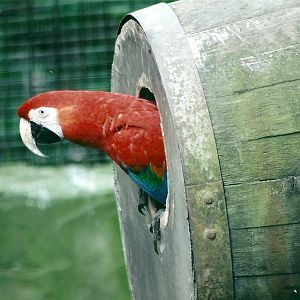 50th Anniversary 18th May 2013