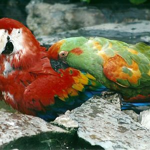 50th Anniversary 18th May 2013