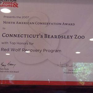 WOLF- And the Award Goes To...