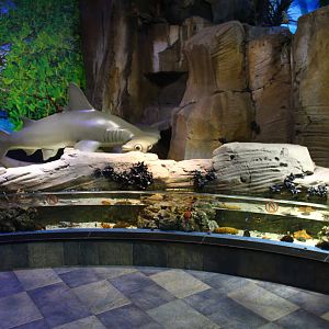 Underwater Zoo - "Touch Pool"