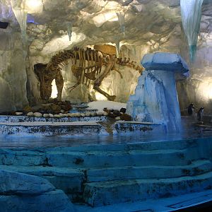 Underwater Zoo - Gentoo Penguin exhibit