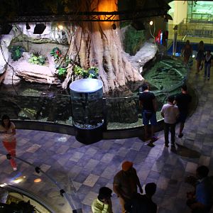 Underwater Zoo - View from above