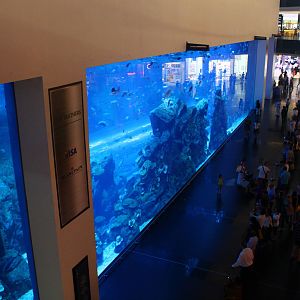 Aquarium