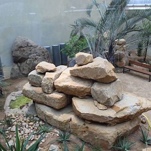 New Bird House walk-through, April 2013