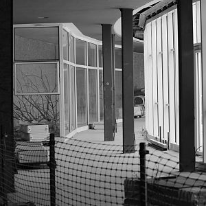 Alfred Brehm House interior, April 2013