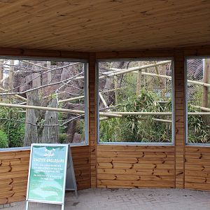 New enclosure for rufous hornbills, June 2013
