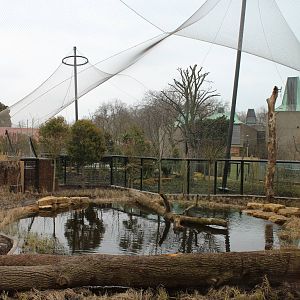 Tiger territory, March 2013