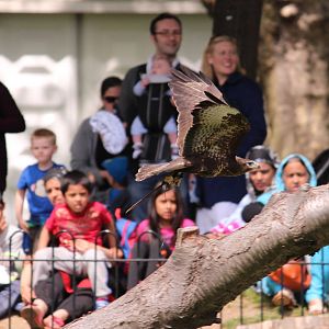 Flying display, June 2013