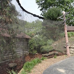 Renovated Snowy Owl Exhibit (Ex-Wild Turkey Exhibit)