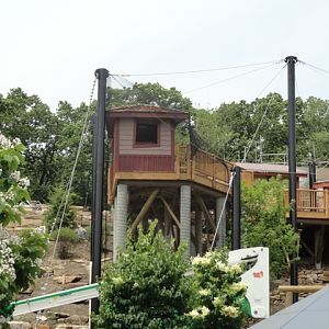 Grizzly Ridge Construction  2013.06.09 (Aviary)