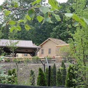 Grizzly Ridge Construction  2013.06.09 (Otter Building / Bear and Canid Bu