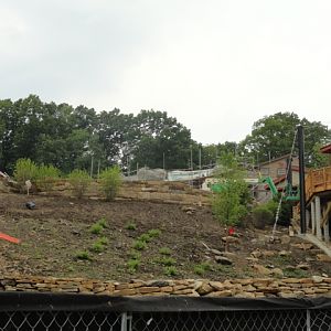 Grizzly Ridge Construction  2013.06.09 (Back of Otter Exhibit)