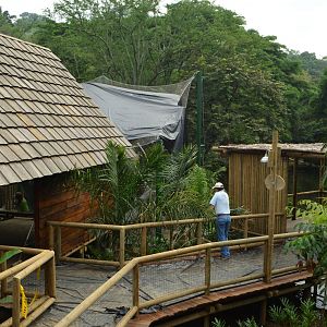 Overview of the path