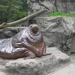 Statue of Olga the Walrus (A former resident at the zoo)
