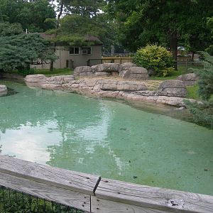 African Penguin Exhibit