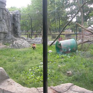 Wolverine Exhibit