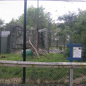 Wolverine Exhibit