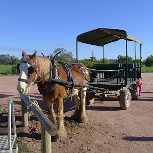 Transport for the tour