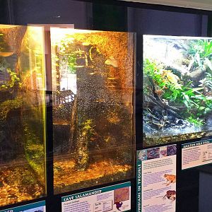 Reptile House
