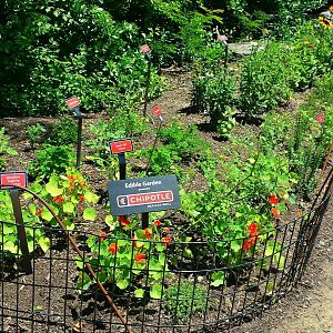 Chipotle Edible Garden