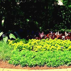 Floral Garden Display