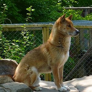 My visit to Exmoor Zoo on 3rd June 2013