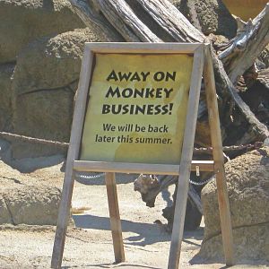 Monkey Island