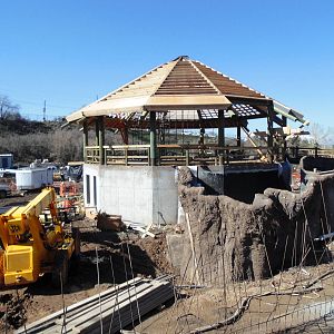 African Savannah Construction