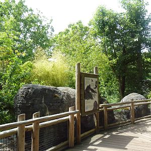 Orangutan Exhibit - Boardwalk Viewing Area
